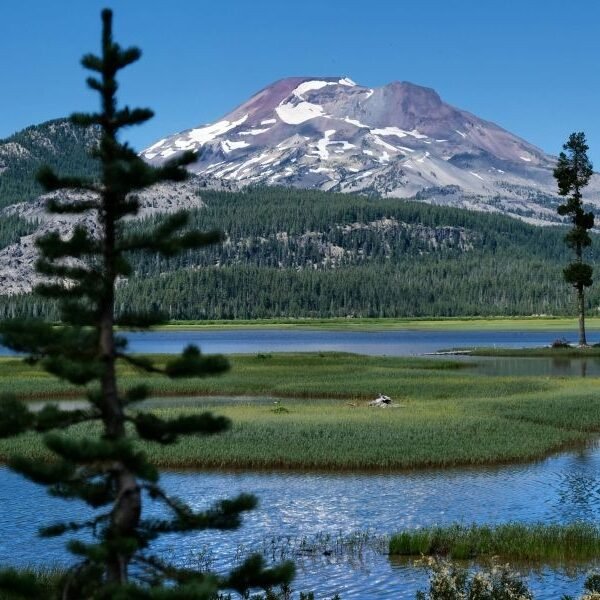 NAEGELI Deposition & Trial