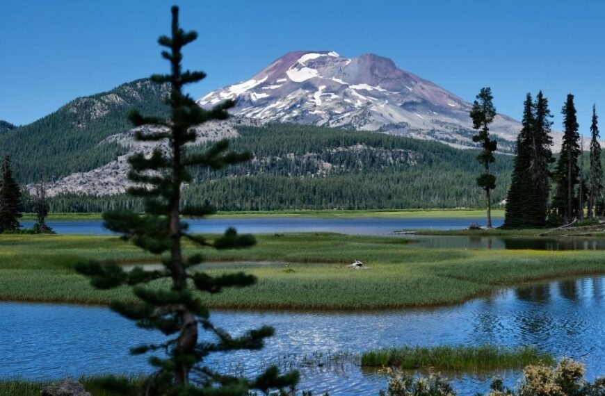 NAEGELI Deposition & Trial