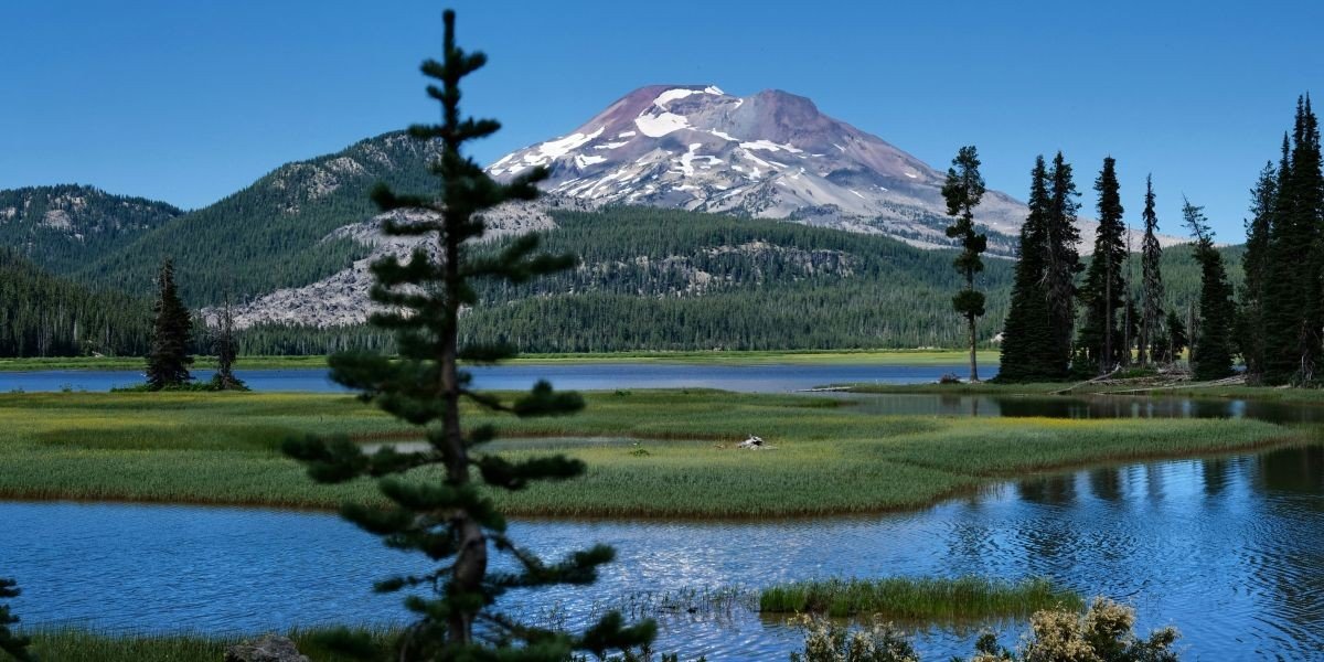 NAEGELI Deposition & Trial