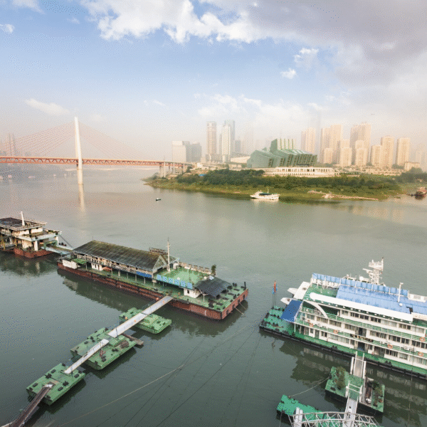 Sea Vessel Tracking for Sustainable Shipping in Asia-Pacific 